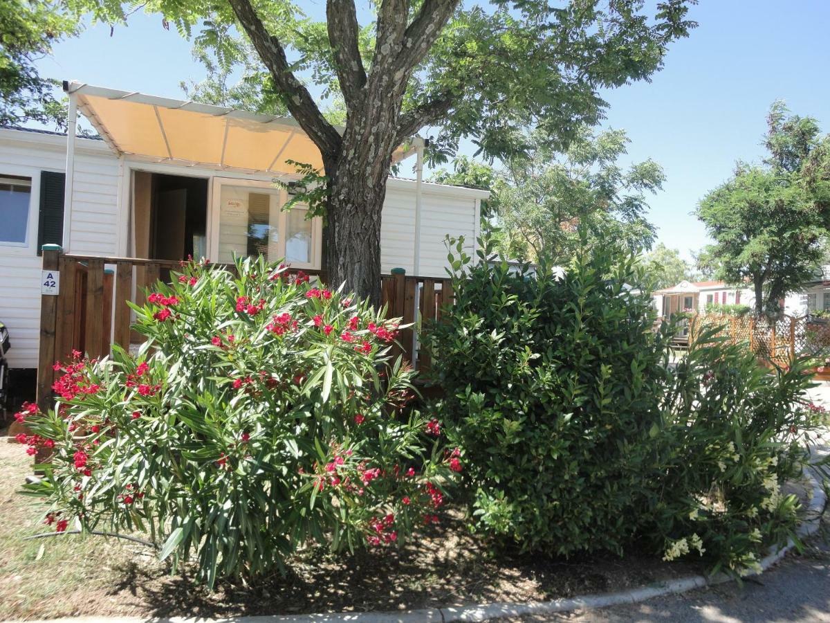 Camping Les Acacias Fréjus Esterno foto